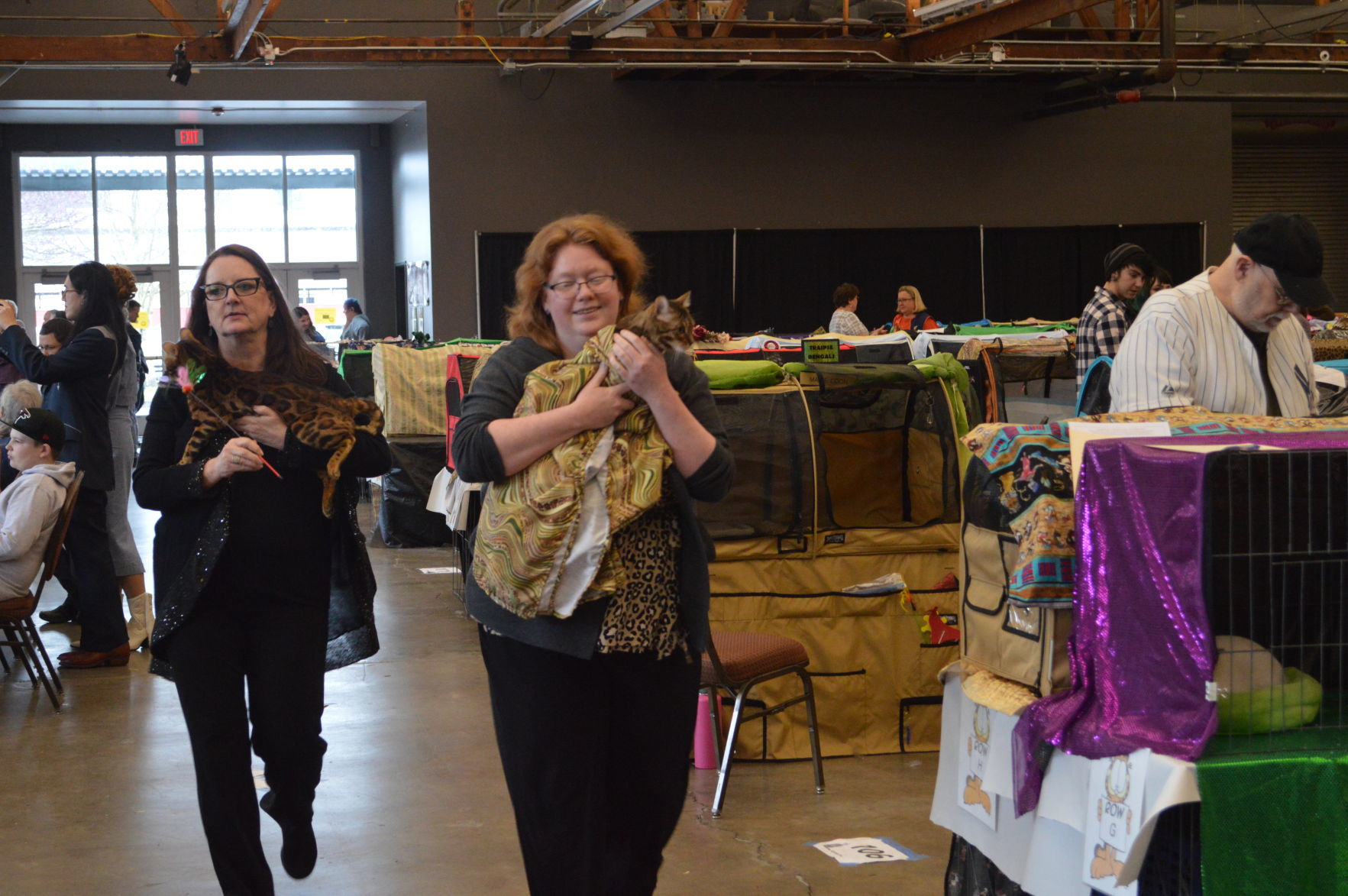 Longview Cat Show 2019